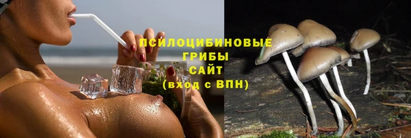 прущая мука Аркадак