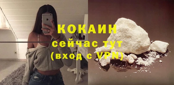 дживик Арсеньев